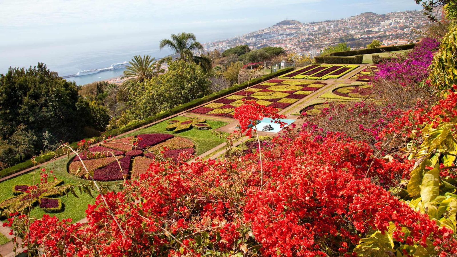 En botanisk have i Funchal på Madeira med symmetrisk anlagte blomsterbede i gule, lilla og røde nuancer. I baggrunden skimtes Atlanterhavet og byen Funchal, som breder sig op ad bjergsiden under en klar himmel. 