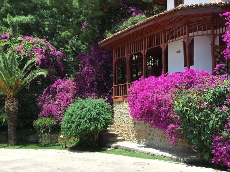 Club & Hotel Letoonia - Image 4
