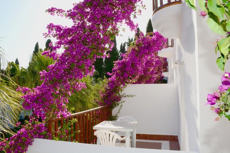 Natur Garden Hotel Bitez Bodrum - Image 5