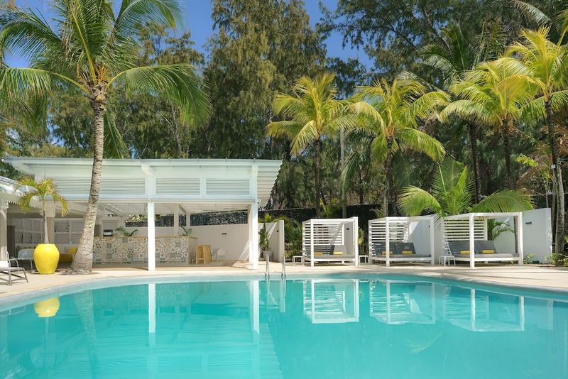 Tropical Attitude - Image 2