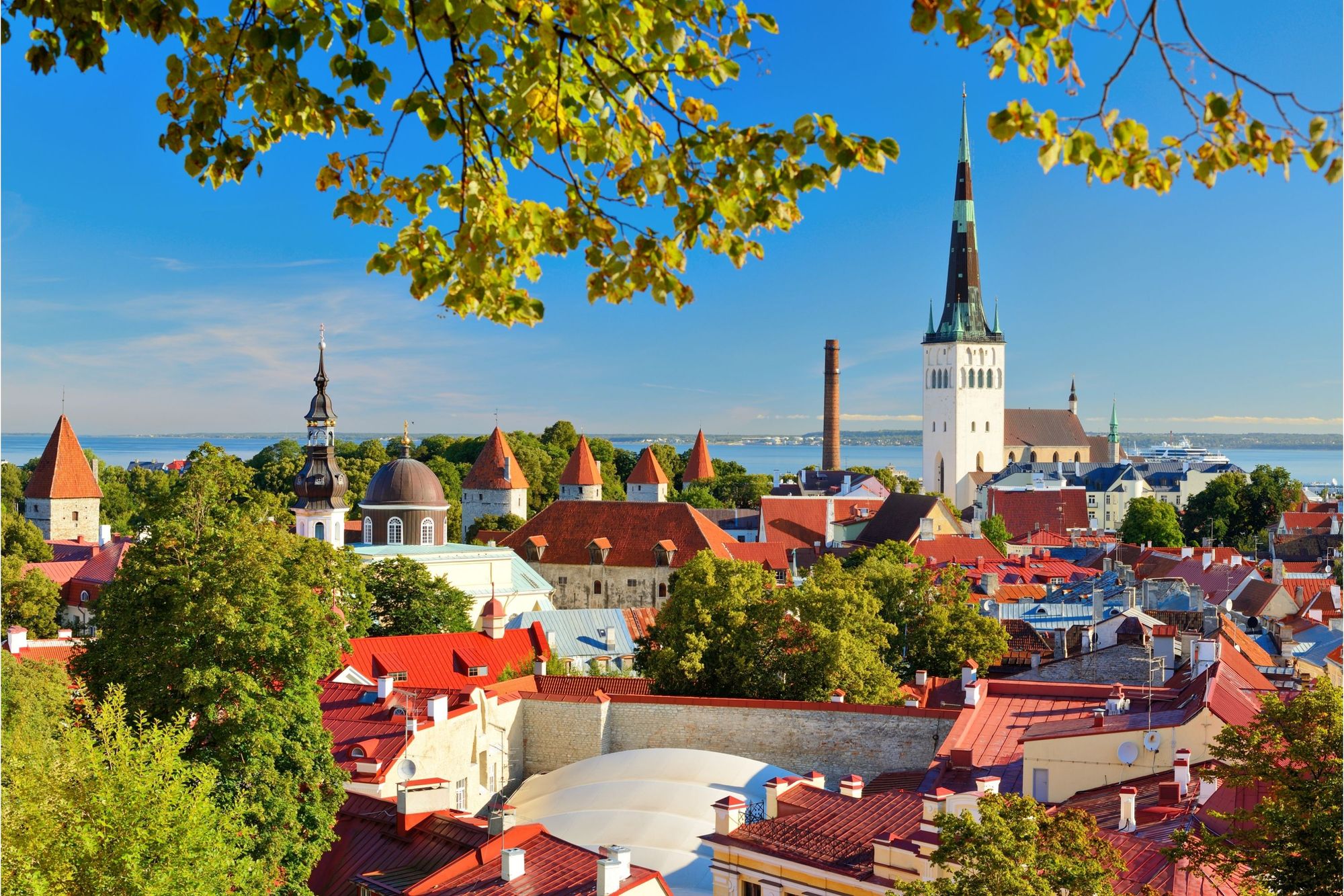 Udsigt over den gamle bydel i Tallinn i Estland