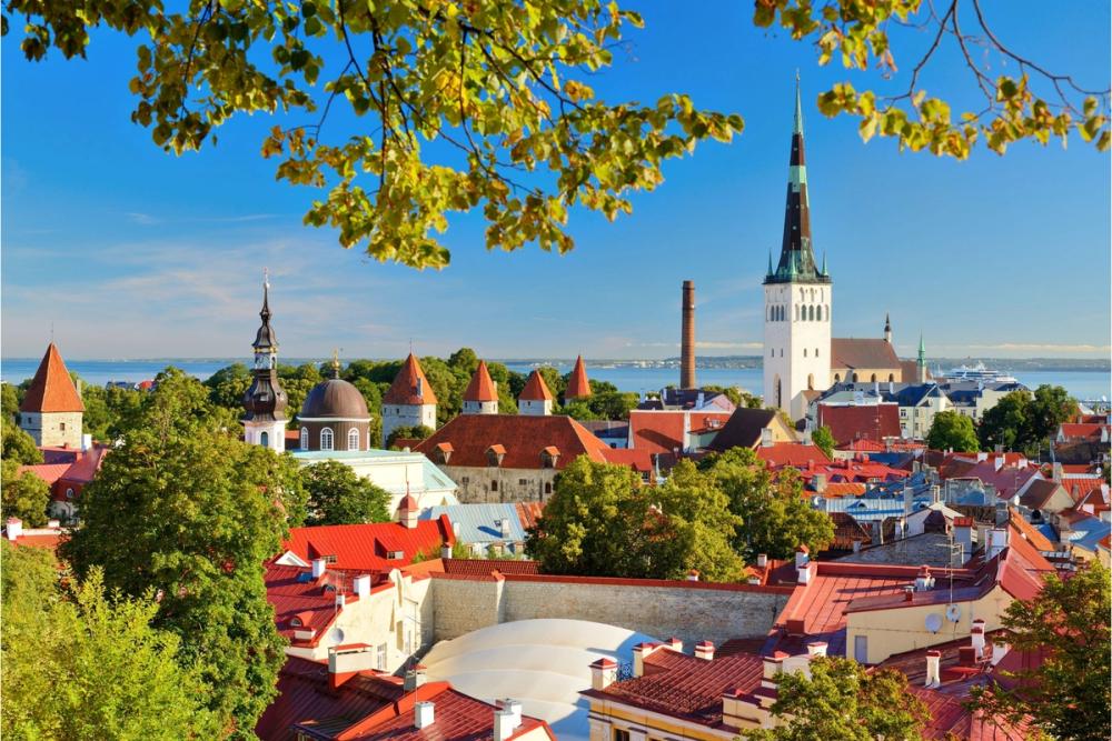 Utsikt over gamlebyen i Tallinn, Estland