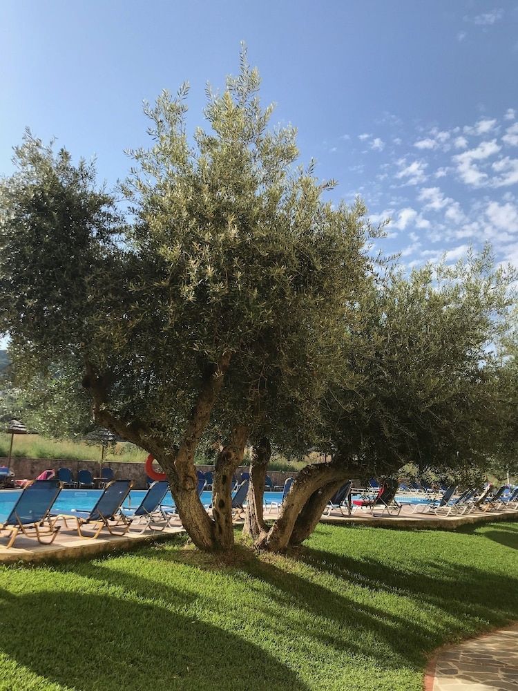 Hotellbilder av Lassi Hotel - nummer 1 av 10
