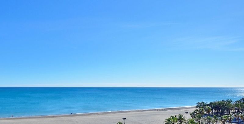 Sol Don Pablo - Image 4
