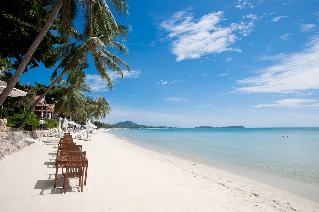 Billedet viser Chaweng Beach på Koh Samui, en hvid sandstrand med blikstille, blåt vand til højre. På stranden står der nogle stole og borde under palmer, der hælder ud over sandet.