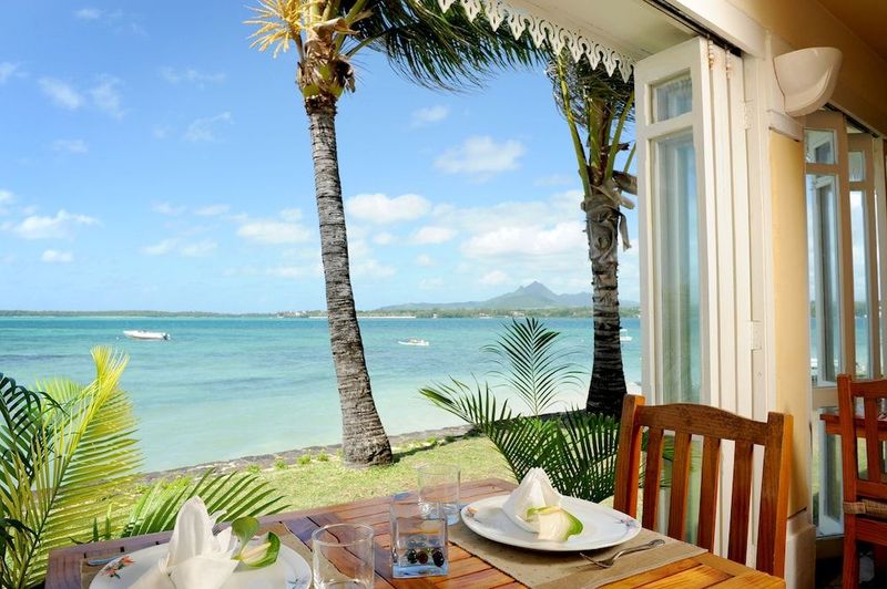 Tropical Attitude - Image 10