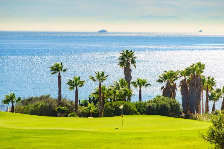 Sotogrande med golfbane, palmer og Middelhavet i baggrunden. 
