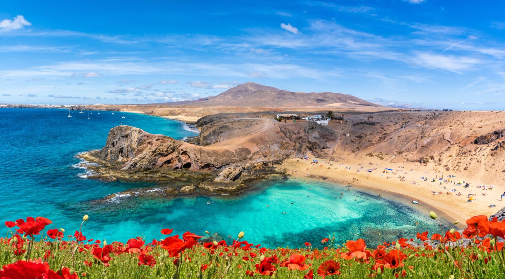 Bilden visar stranden Playa Papagayo, precis intill Playa Blanca. I förgrunden ser man en rad röda blommor och längre bak det lugna turkosa vattnet som slår mot stranden