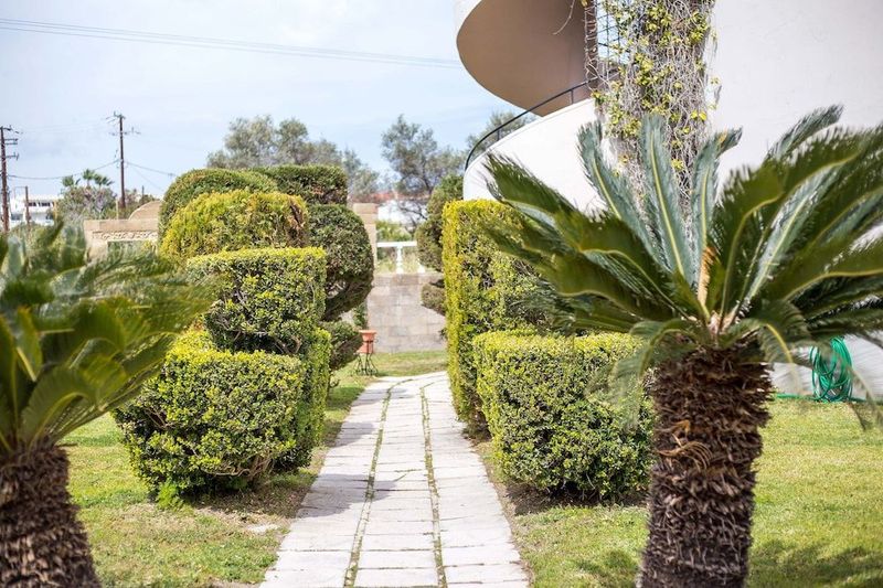 Jimmy's Garden - Image 2