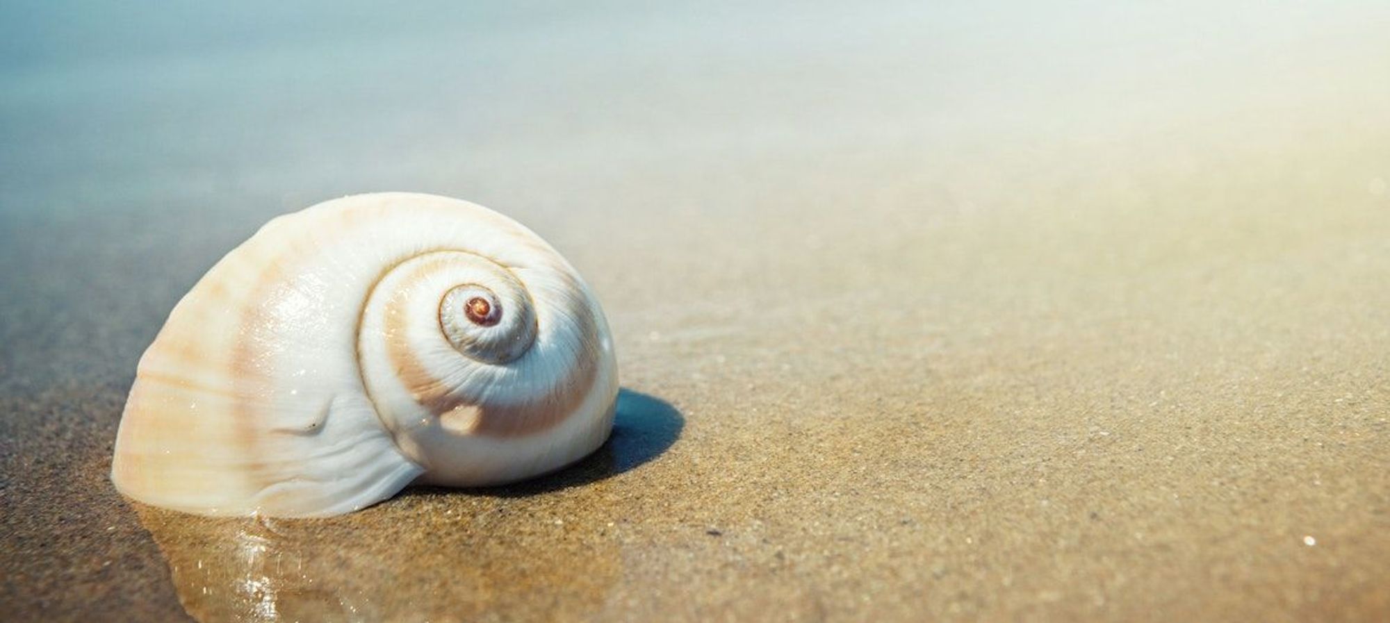 Velkommen til Sidari