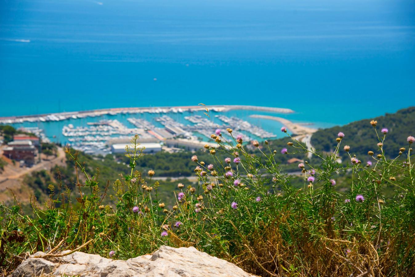 Udsigt over havnen i Castelldefels fra en bakketop, med grønne skråninger og blomster i forgrunden og middelhavet i baggrunden. 