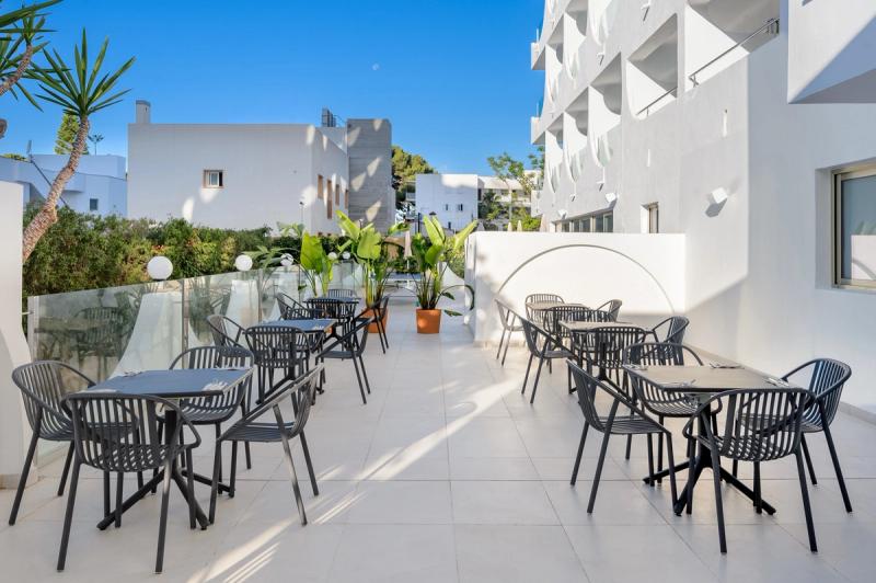 Hotel Vibra Palma Cactus - Image 7
