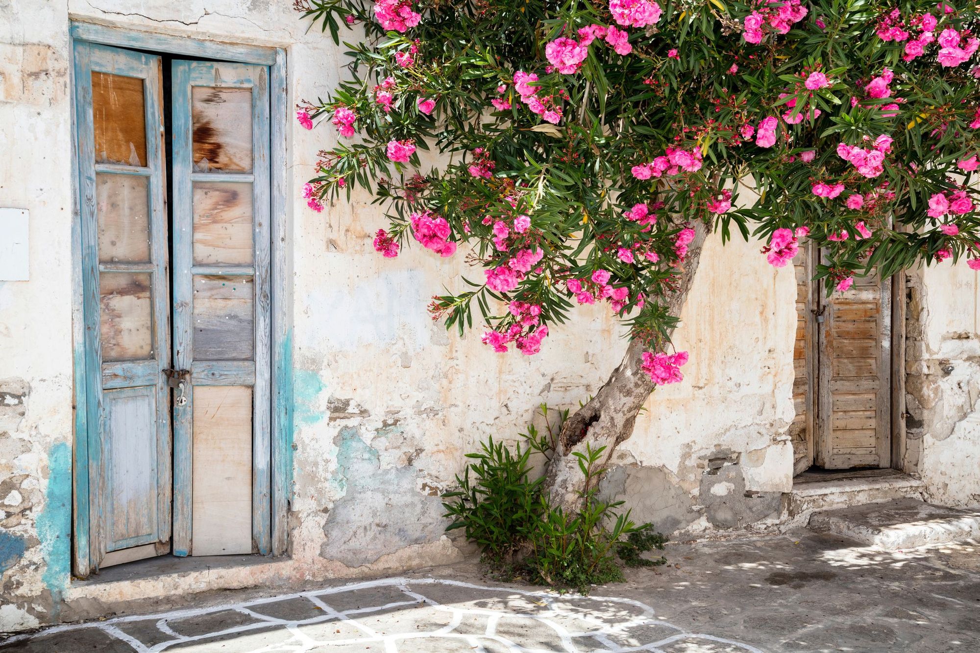 Brolagt gade med lyserøde blomster på Paros i Grækenland