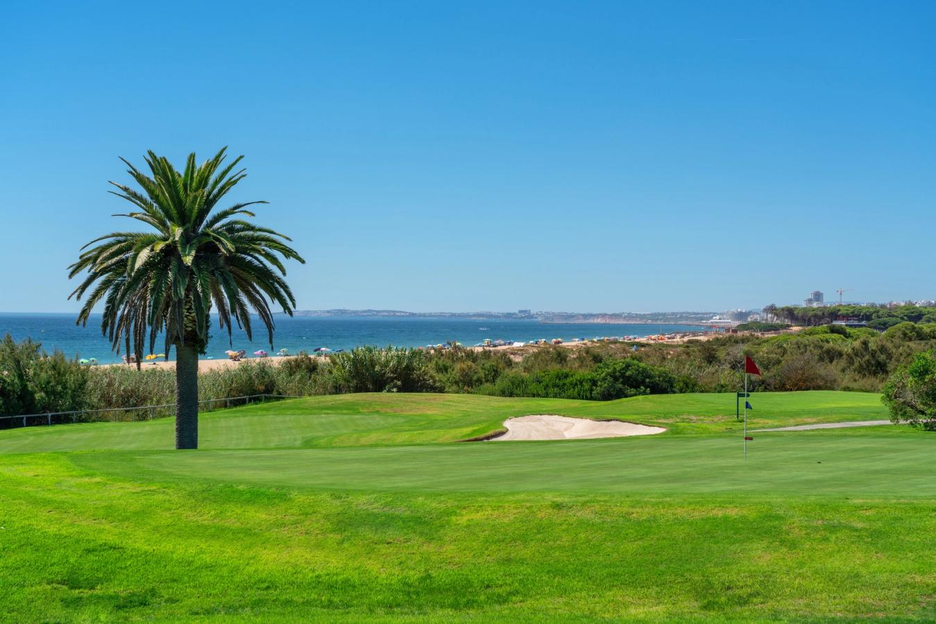 En golfbana med grönt gräs, en röd flagga till höger och en palm till vänster. Bakom banan ligger stranden och havet som sträcker sig ut mot horisonten.
