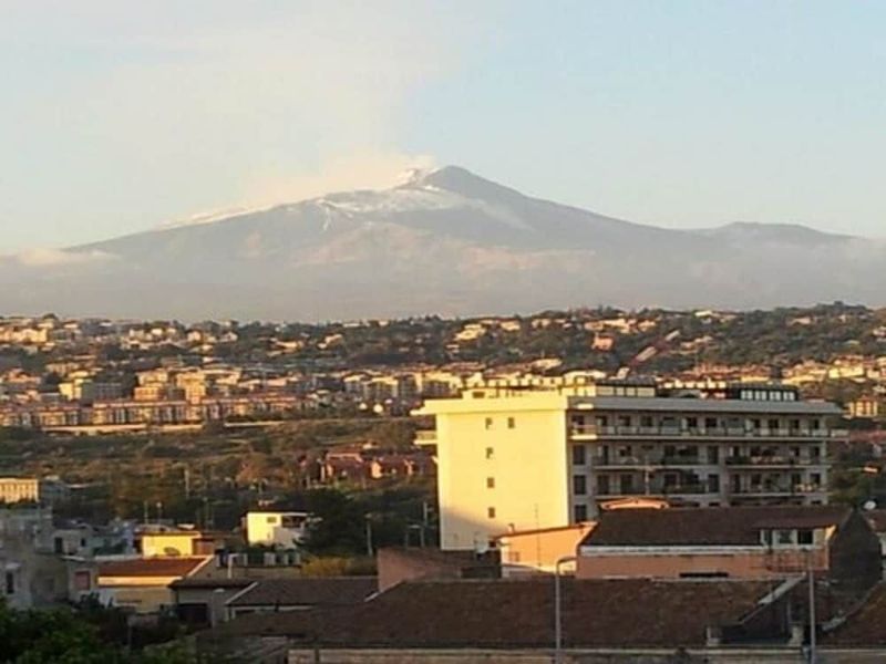 Nettuno - Image 9