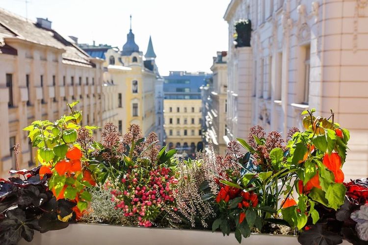 Hotellbilder av Boutiquehotel Das Tyrol - nummer 1 av 10