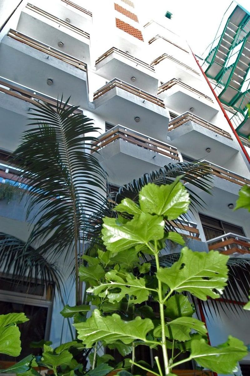 Brisamar Canteras - Image 9