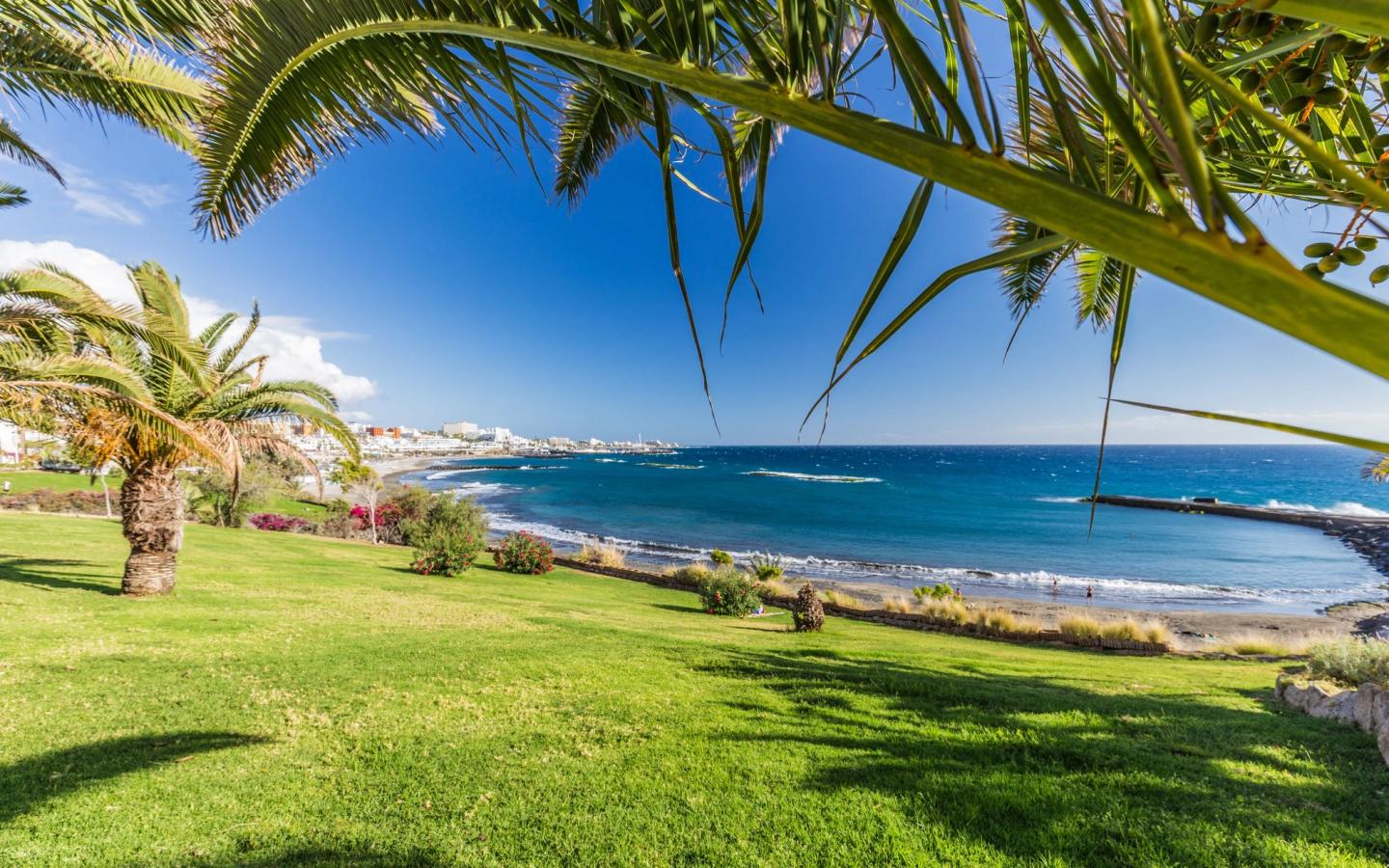 Palmer, strender og grøntområder i Costa Adeje på Tenerife