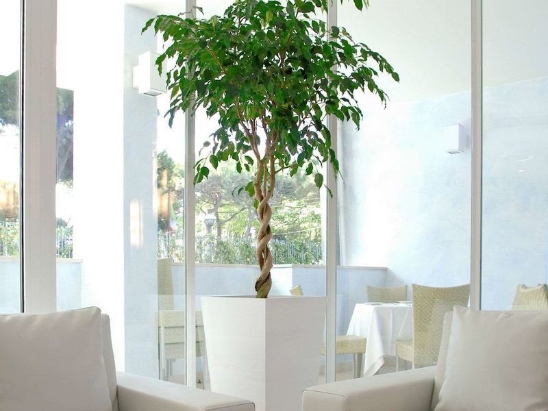 Mercure Rimini Lungomare - Image 5