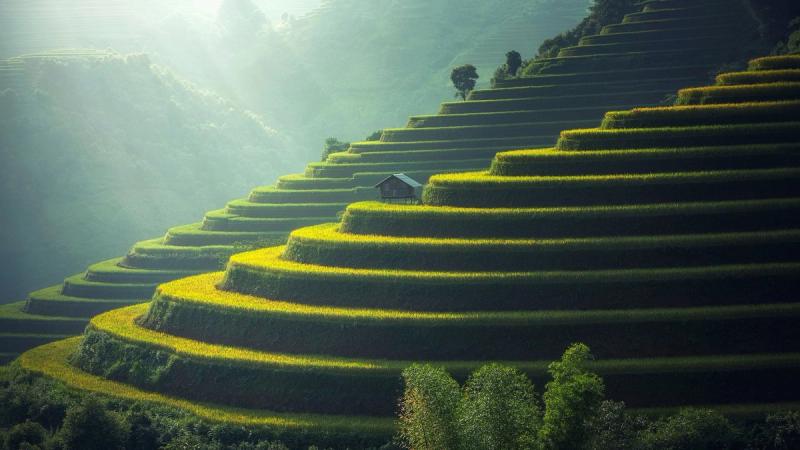destination image