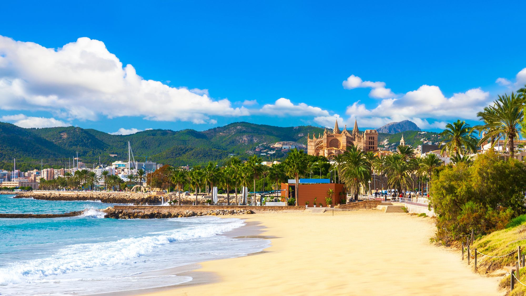 Stranden Playa de Palma ved hovedstaden Palma de Mallorca. Her med den finkornede og langgrunne stranden med katedralen i bakgrunnen. Stranden er omringet av frodig beplantning og palmetrær