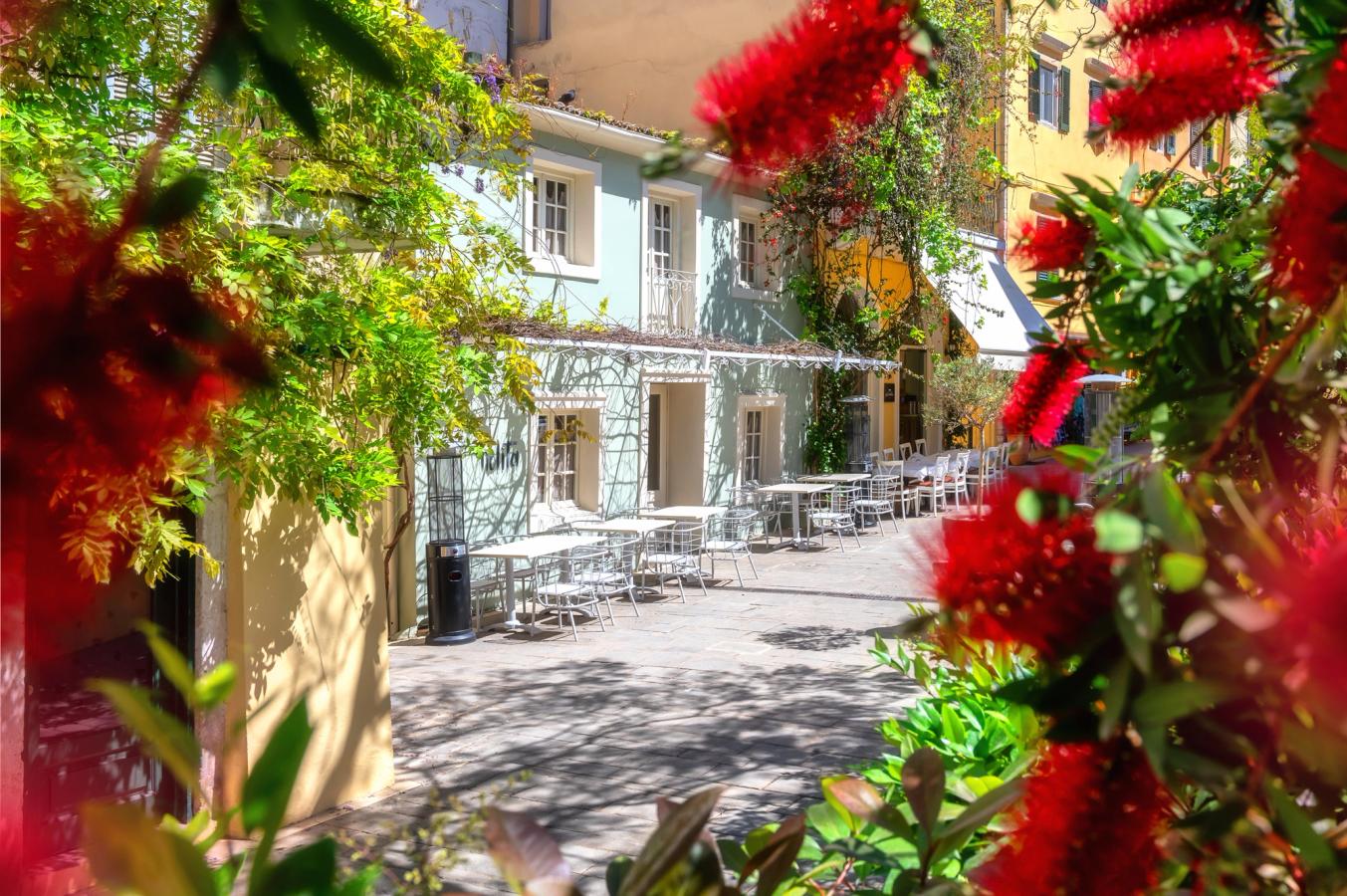 Billedet viser en rolig gade i Korfu by. Midt i billedet en gade med en lavere lyseblå bygning til venstre. Med hvide stole og bord på ydersiden. Billedet er rammet ind af røde blomster.