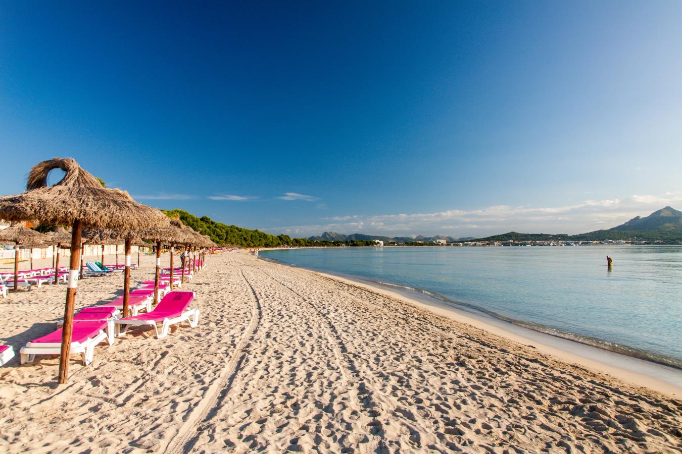 Billedet viser lavvandede strande i Alcudia med finkornet sand, liggestole, parasoller og en næsten skyfri himmel på Mallorca.
