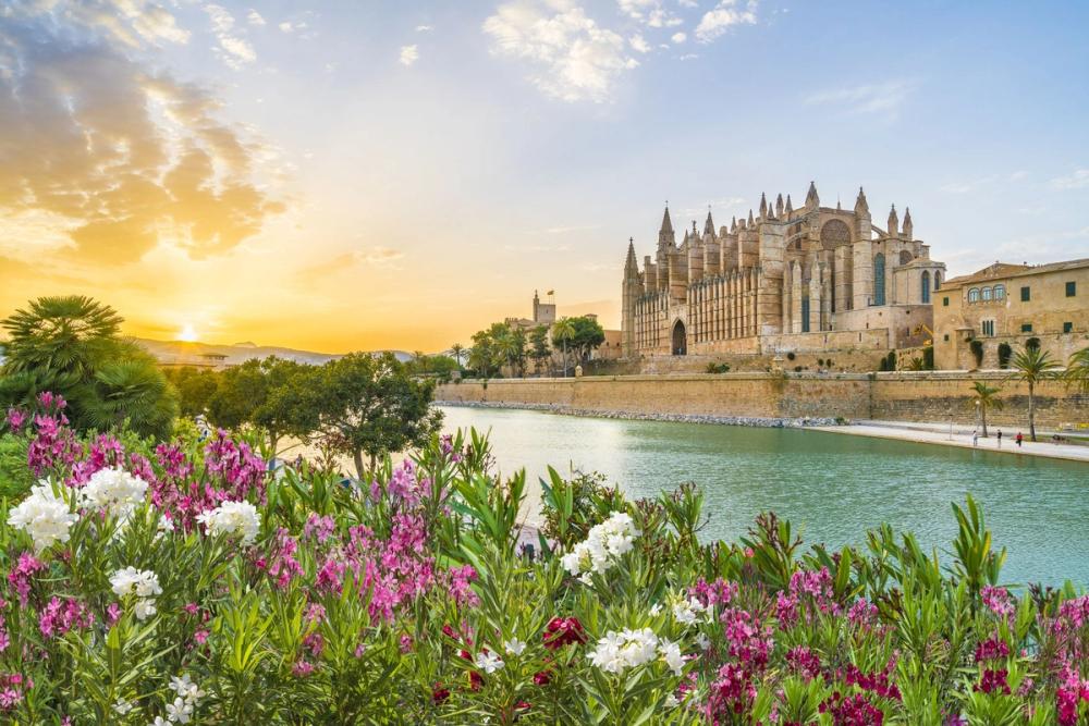 Bilden visar katedralen i Palma de Mallorca på dagtid. Stadens strand ligger stilla i förgrunden och vi ser färgglada blommor längst fram i bilden med katedralen i bakgrunden.