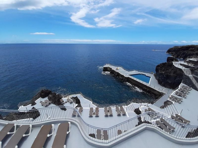 Royal Orchid - Image 9