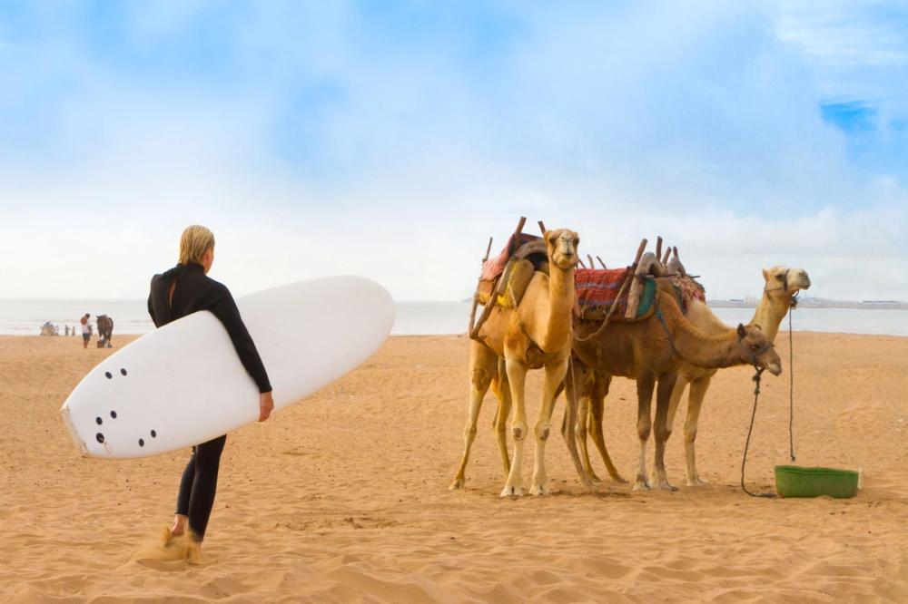 Endeløse strender, surfere og kameler i Marokko