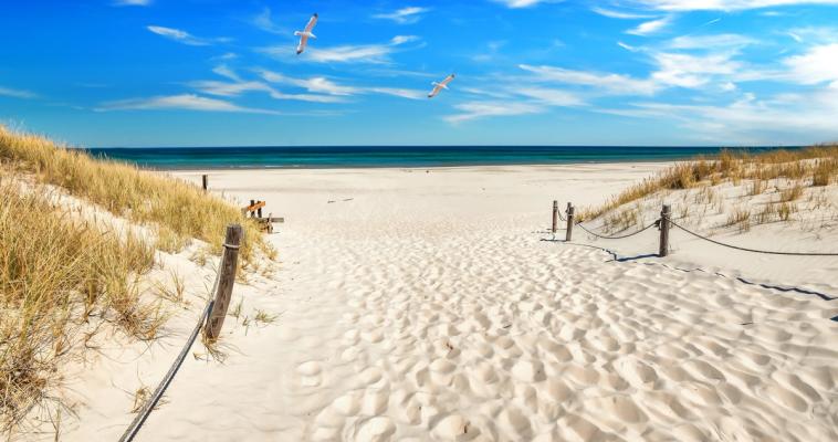 Deilig badestrand ved Østersjøen med hvit sand og blått vann i det fjerne.
