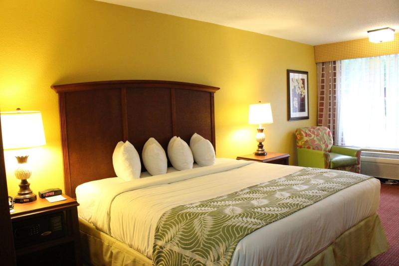 Rosen Inn International - Image 7