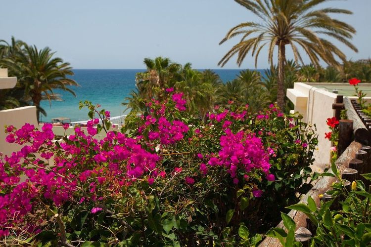 Grupotel Tres Vidas ligger ved havet i Bahia Feliz på Gran Canaria og tilbyder ferielejligheder for hele familien.