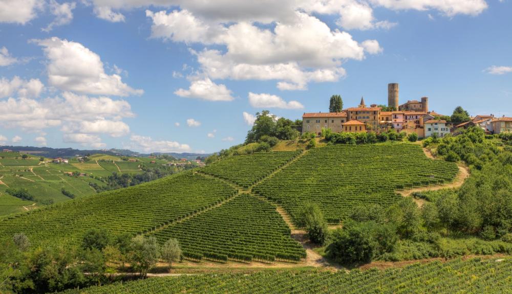 Utsikt over de endeløse vinmarkene og en gammel historisk landsby i Piemonte i Italia