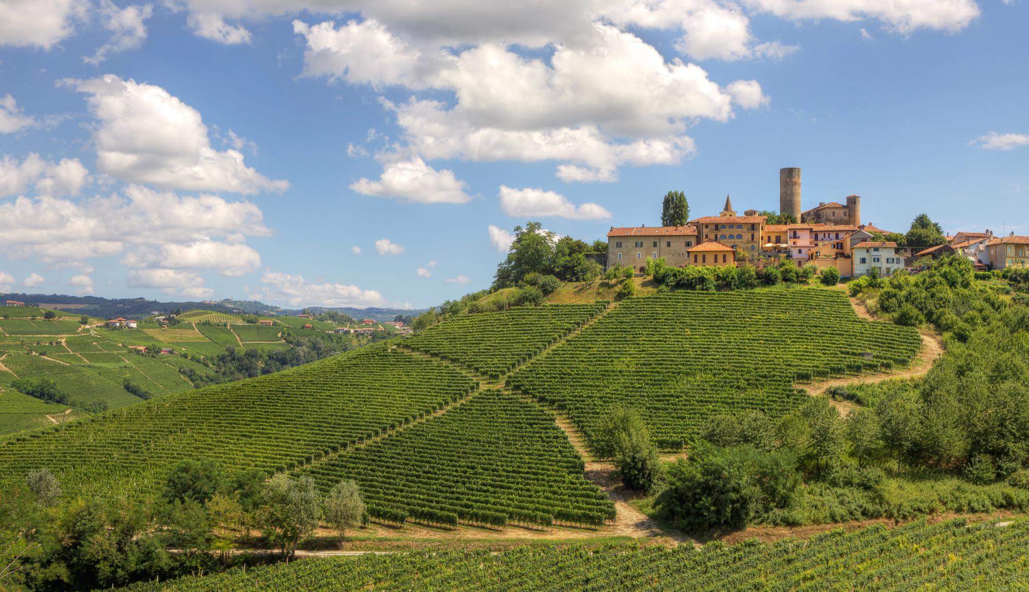 Utsikt over de endeløse vinmarkene og en gammel historisk landsby i Piemonte i Italia