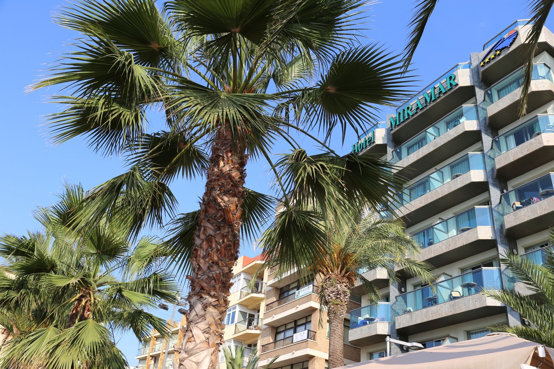 Hotel Miramar - Image 8