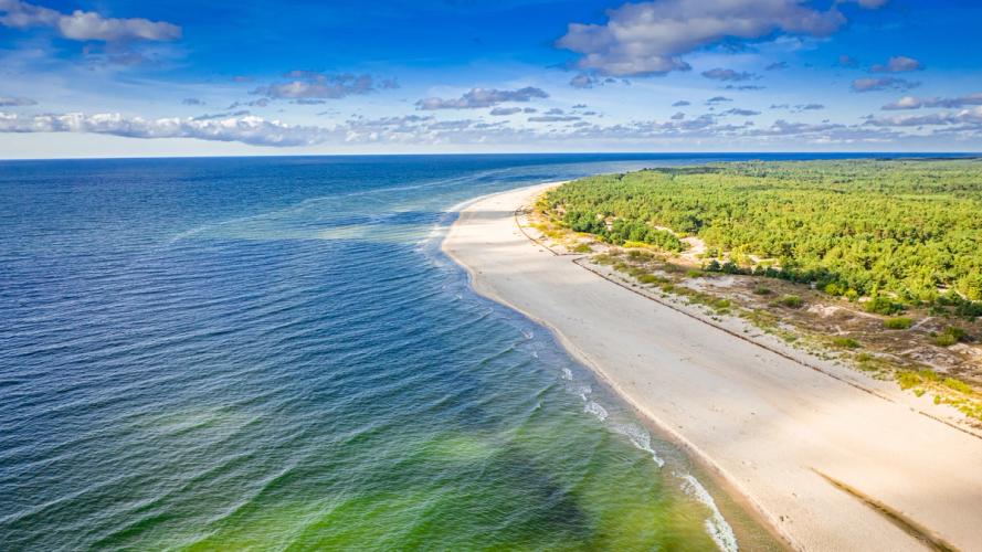 Billedet viser den del af Hel-halvøen med den lange, lavvandede strand langs Østersøen. Bag stranden er der en frodig skov under en blå himmel med spredte skyer.