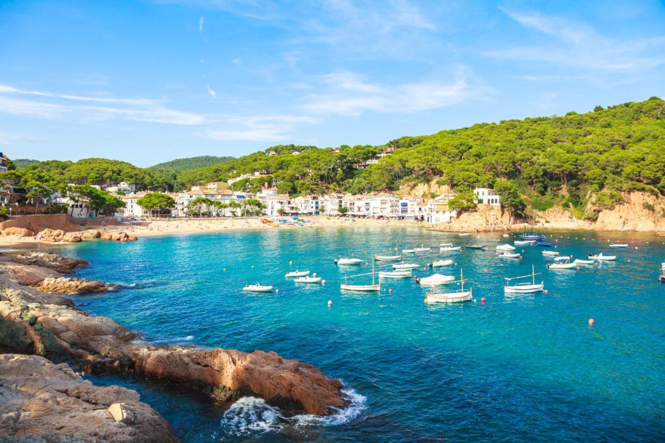 Blått hav med små båtar och vita hus och tallskog i bakgrunden