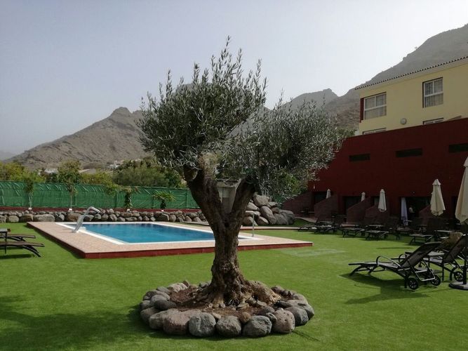 Nyt fredelige omgivelser på Sol Mogan Suites-hotellet kun for voksne på Gran Canaria.
