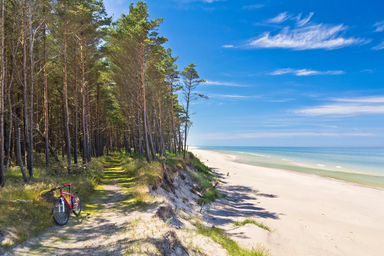 Til højre i billedet ser vi den lyse og langstrakte strand og de lave bølger fra havet. Til venstre i billedet går stranden over i en skov med en vandresti og en rød cykel, der er parkeret.