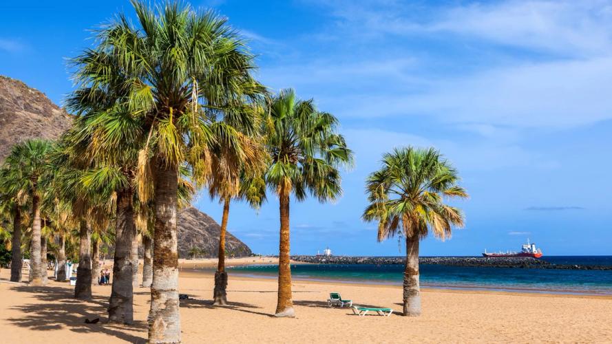 Deilige sandstrender med palmer og utsikt over Atlanterhavet på Tenerife