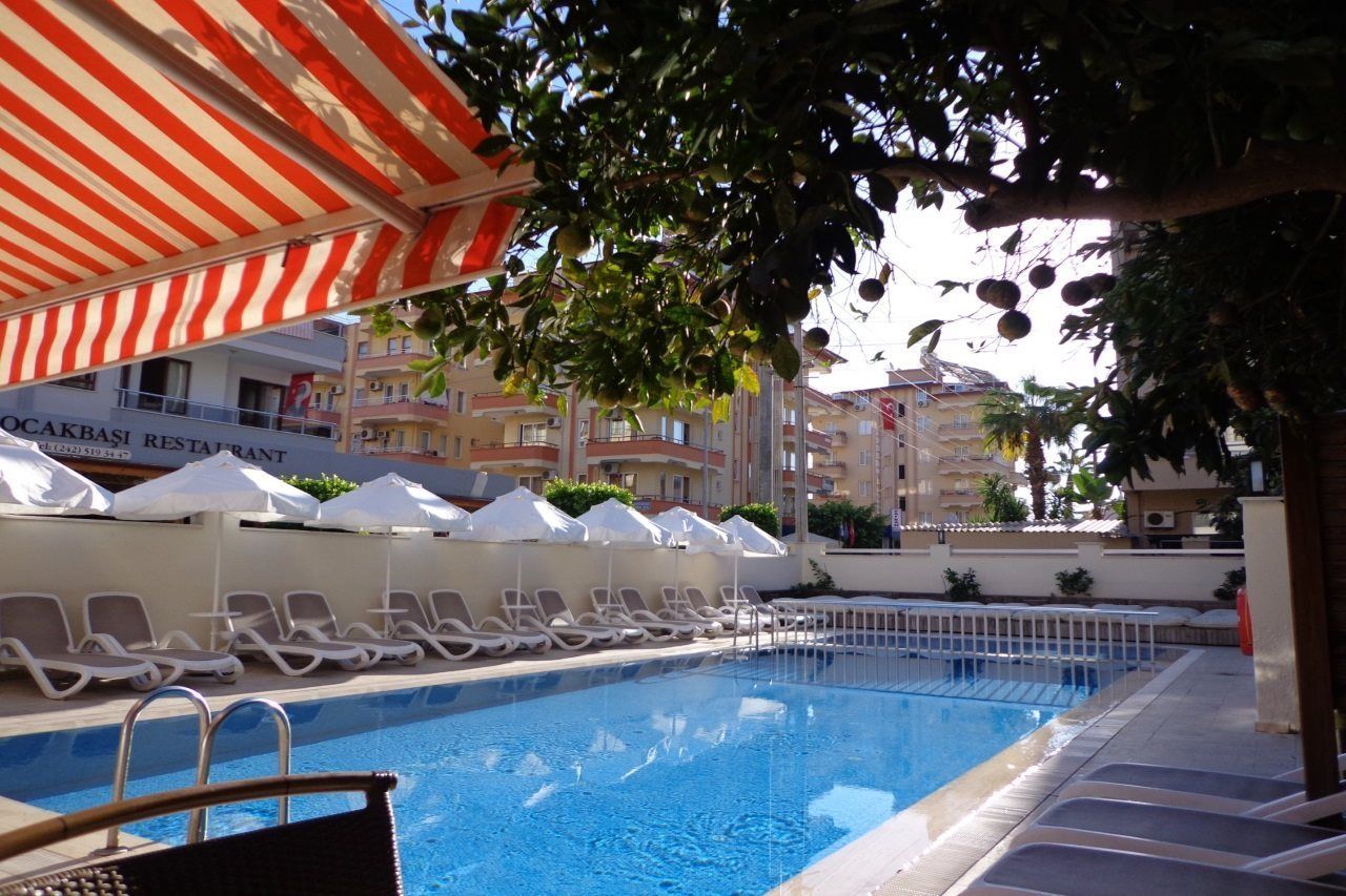 Billede av hotellet Kandelor Hotel - nummer 1 af 10