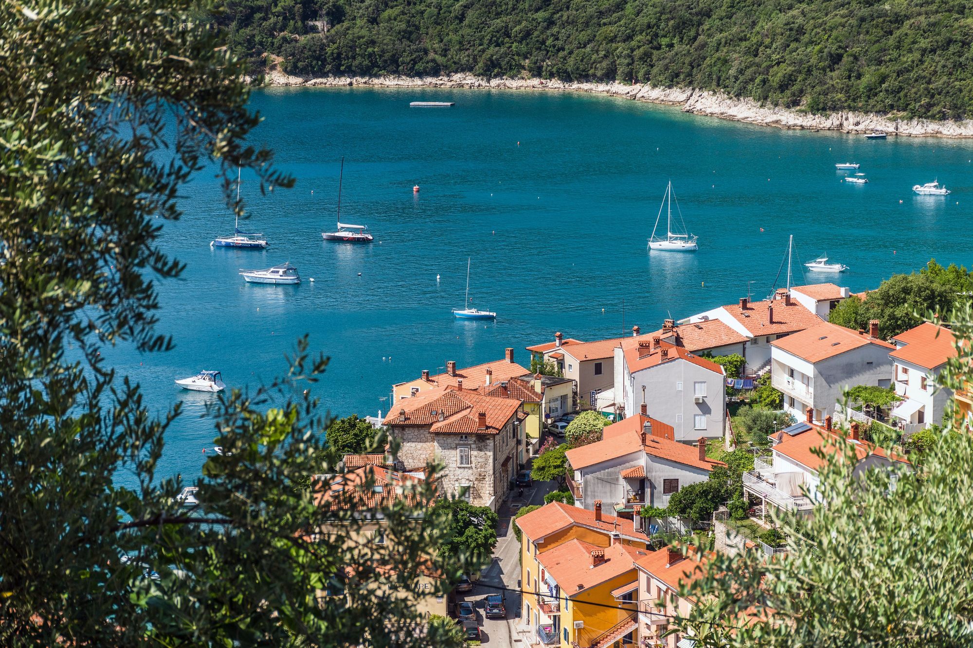 Färgstarkt kustlandskap i Rabac, Kroatien: I förgrunden syns en rad små hus med röda tegeltak, omgivna av gröna träd och buskar. I bakgrunden ligger en stilla, blå bukt med vita segelbåtar utspridda över vattnet. Längs buktkanten reser sig en skogsklädd kulle.