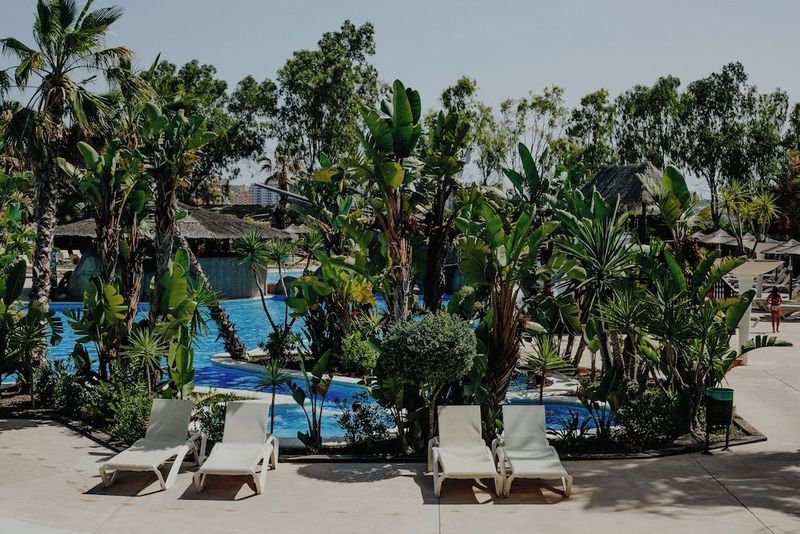 Alannia Guardamar Resort - Image 8