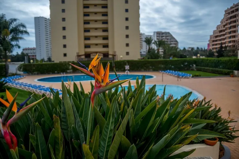Apartamentos Turisticos Flor da Rocha