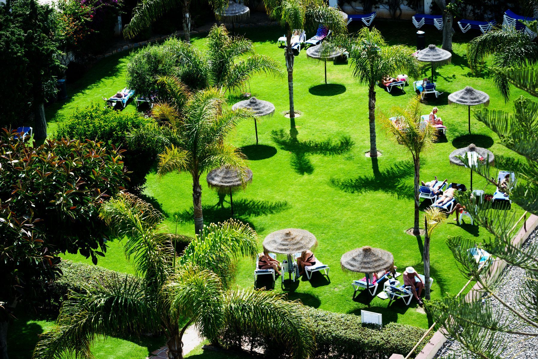 Hotel Monarque Fuengirola Park - Image 5