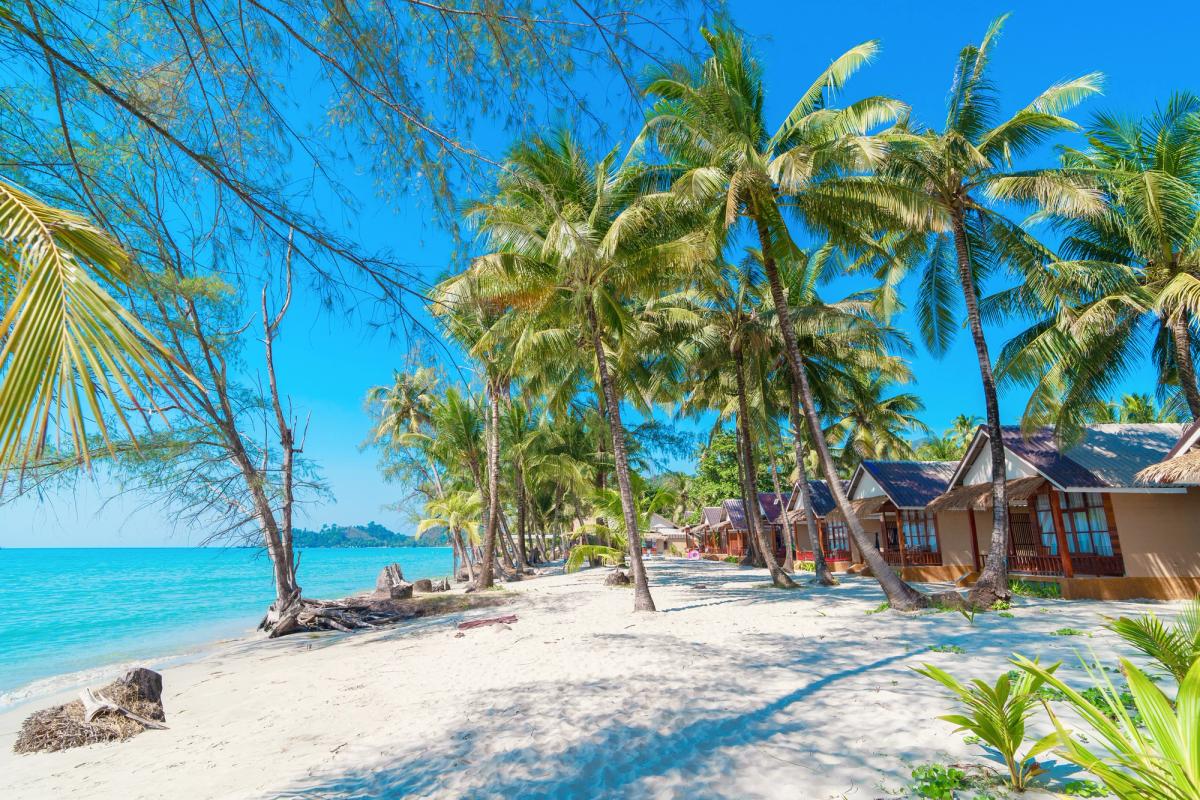 Bildet er fra Klong Prao Beach i Koh Chang. Langs den hvite stranden gror det en rekke palmer, hvor det ligger en rekke bungalower på høyre side. Til venstre side det blikkstille blå vannet.