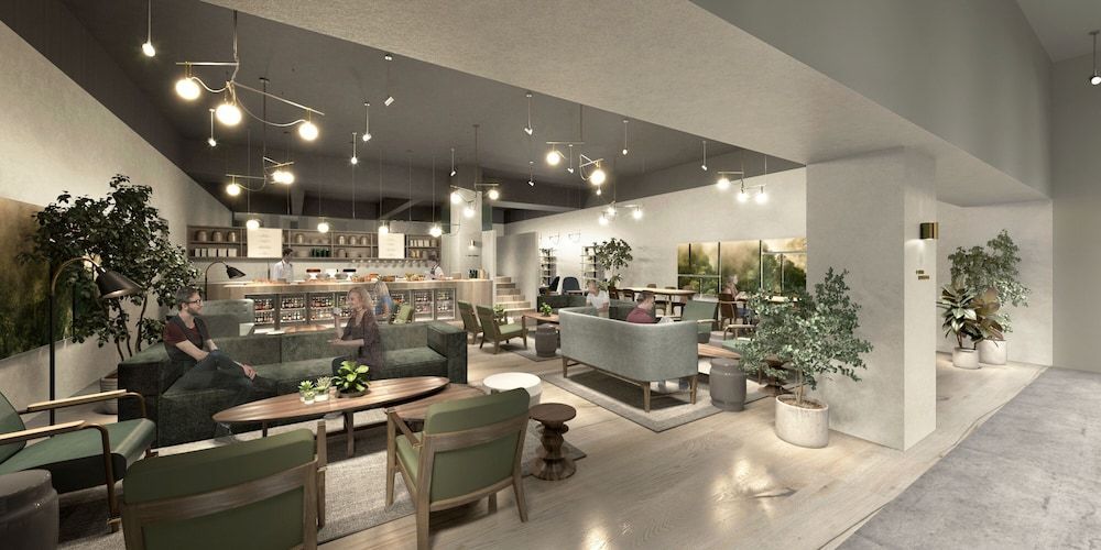 Zedwell Piccadilly - Image 2