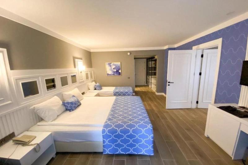 Gypsophila Club Marine - Image 7