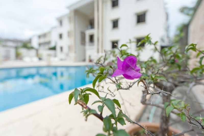 Seavilla Mauritius - Image 3